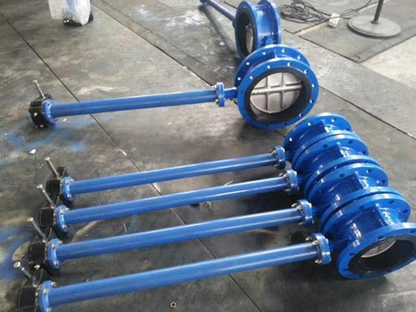 Extended Stem Butterfly Valve