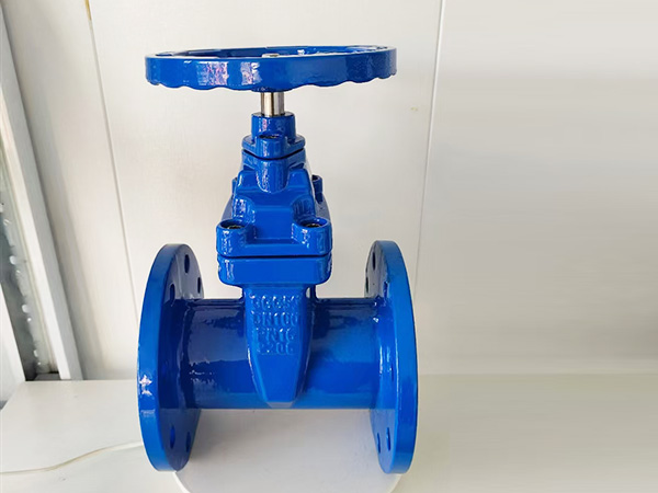 Soft Seal Gate Valve